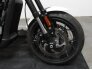 2019 Harley-Davidson Street Rod for sale 201050385